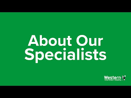Opening hours for pest control in san jose, ca. 5 Best Pest Control Companies In San Jose Top Pest Control Companies