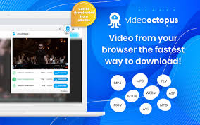 This isn't the first time you could find free video on itunes, b. Video Downloader By Video Octopus Extension 1 0 6 Free Download For Chrome Chromeaddon Com