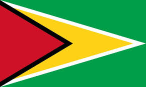 Guyana Flag Guyana Flag Flags Of The World Guyanese Flag
