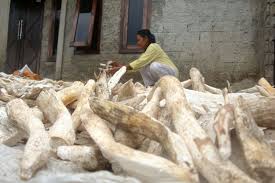 Tiwul uga saged dados dhaharan diet pengidap diabetes. Sejarah Tiwul Khas Jawa Makanan Pengganti Nasi Karena Harga Beras Mahal Halaman All Kompas Com