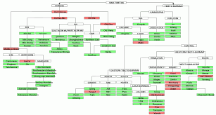 the root of all human languages angmohdan com