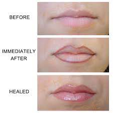 Best Of Semi Permanent Makeup Lip Liner And Description Permanent Lipstick Lip Permanent Makeup Permanent Makeup Lips