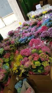 We did not find results for: Produce Junction Inc 2241 Bryn Mawr Ave Philadelphia Pa 19131 Usa