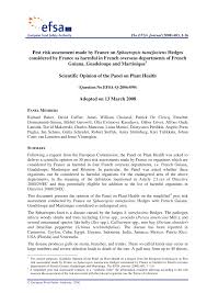 Image result for Sphaeropsis tumefaciens oleander symptoms