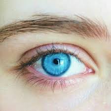 Pin By Pino Turkiye On Goz Aesthetic Eyes Eye Photography Sky Blue Eyes