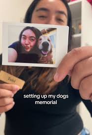 Dog Memorial Idea with Food Bowl