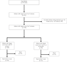 Image result for APGAR Score