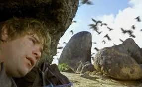 15 Famous Movie Blackbirds