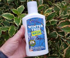 We did not find results for: Winter Tree Wash Green Gardener