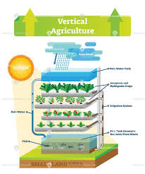 Vertical Agriculture Environment Scheme Vector Illustration Agriculture Hydroponics Vertical Farming