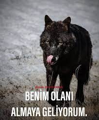 benim olani almaya geliyorum 2021 motivasyon sozleri basari sozleri bilgelik alintilari
