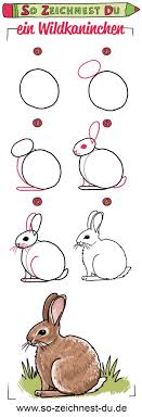 Zeichenanleitung Teil 1 Die Zeichnung So Zeichnest Du In 2020 Wildkaninchen Zeichenschule Hase Zeichnen