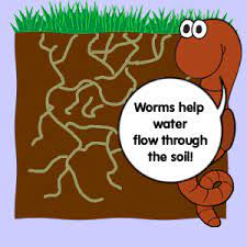 Add a small amount to potting mix and garden beds, or water it down to make a liquid feed. Can T Live Without Me The Adventures Of Herman The Worm U Of I Extension