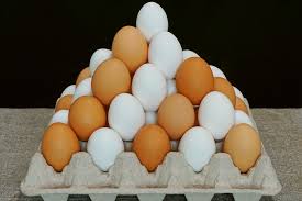 Sementara, telur yang mengeluarkan anak ayam adalah telur yang dibuahi. Telur Ayam Vs Telur Bebek Mana Yang Lebih Bernutrisi