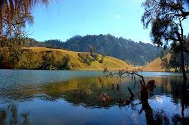 Hasilnya banyak desa wisata baru seperti ranu pane di lumajang, sanankerto di malang, cikadu di pandeglang, dsb. Ranu Kumbolo Home Facebook