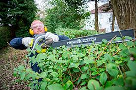 Mow lawns frequently, at least every two weeks (with a lowered cut height) maintenance only hedge trimming and shaping is possible between april and august, by law, to avoid damage and disturbance. Five Tips On How To Cut The Perfect Hedge Which News