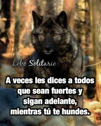 Pin De Natalia Mucino En Lobos Frases Frases De Enamorados Frases De Pensar