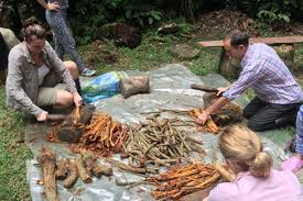 Free shipping on orders over $25 shipped by amazon. Ayahuasca What Really Happens In An Ayahuasca Ceremony