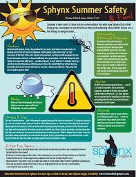 It S Summer And That Means Spending Time Outdoors With Your Sphynx We Put Together An Infographic Of Tips And Tricks For Summer Sphynx Sphynx Cat Cat Care
