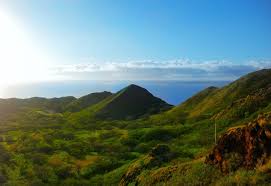 Easy toddler activities are my favorite activities. 7 Unforgettable Kid Friendly Activities In Oahu Hawaii Traveling Mom