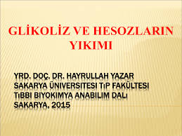 Atp üretir ve hücresel solunumun ilk aşamasıdır. Glikoliz Sabis Sakarya Universitesi
