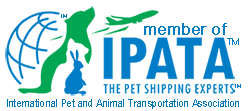The cost of flying your cat as manifest cargo will depend greatly on the destination. Pet Shipping Costs Continental Pet Relocation