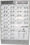 74 Rare Weider 1120 Home Gym Exercise Chart