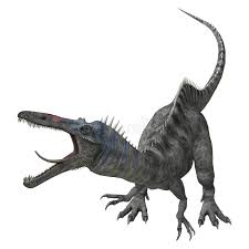 Image result for Suchomimus