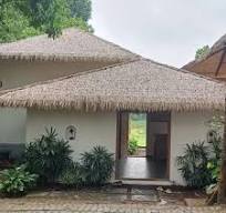 How Synthetic Thatch Performs Across Diverse Climates ?