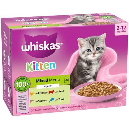 Kitten Food
