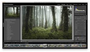 Learn adobe photoshop cc and lightroom cc from the ground up, and develop your specific workflow for making great images. Photoshop Or Lightroom What S Best For Photographers Capturelandscapes