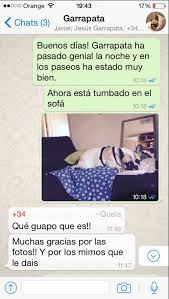 ¡tu portal de búsqueda y demanda de canguros y servicio doméstico!. Canguro Canino O Como Ganar Un Sueldo Alojando A Un Perro En Tu Casa Libre Mercado
