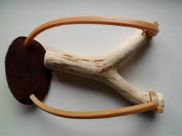 Výsledek obrázku pro prak