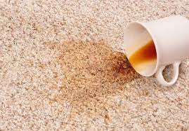 Maybe if you dampen the stained area first, they apply a paste of borax there and keep it wet, don't let it dry. 10 Best Tips To Remove Stains From Carpets Tidylife