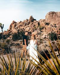 Check spelling or type a new query. Joshua Tree Day Trip The Perfect 1 Day Itinerary For The National Park