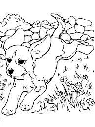 They will give your kid the opportunity to learn more about the finer art of coloring. Anime Puppy Coloring Pages Puppies Are Small Dogs Puppies Are Animals That Love To Socialize And Puppy Coloring Pages Dog Coloring Page Animal Coloring Pages
