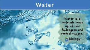 Check spelling or type a new query. Water Definition And Examples Biology Online Dictionary
