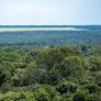 Brazil Advances Amazon Conservation With New Policies Amid Challenges in Public Policy Efficiency