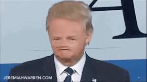 images?q=tbn:ANd9GcTL3ky9NdQUls1lJLsbt3H