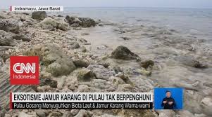 Video Eksotisme Jamur Karang Di Pulau Tak Berpenghuni