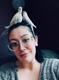 Safe isn't always a place. Sometimes… it's a heartbeat and a pair of  feathers 🤍🐦 #BirdsAviary #CockatielLove #FeatheredFamily #BirdBond  #PetBirdLife #QuietMoments #BirdParents