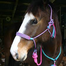 Share your progress with us in the comments section. Takabroad Paracord Horse Crafts Nz Posts Facebook