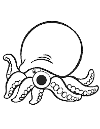 Check spelling or type a new query. Octopus Coloring Pages Pdf Printable Free Coloring Sheets