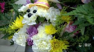 Search absolutely beautiful flowers jobs, find job openings and opportunities in absolutely beautiful flowers, apply for absolutely beautiful it is very important you answer. Flower Shops Getting Mother S Day Boost To Help Rebound From Pandemic