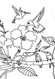 Kizicolor.com provides a large diversity of free printable coloring pages for kids, coloring sheets, free colouring book, illustrations, printable pictures, clipart, black and white pictures, line art and drawings. Hummingbirds In Flight Eating Quotes Quotesgram