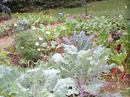 By selecting flowers that do well in your region, preparing a seed bed, and planting at the right time in the fall or winter, you can create a beautiful flower border that will reseed itself year after year. Fall Gardening Veggie Gardening Tips