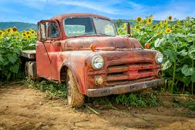 Image result for Dodge Truck Red 1950 Fleet