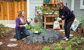 Shirley Bovshow S Winter Gardening Tips Winter Garden Home And Family Hallmark Diy Backyard Landscaping