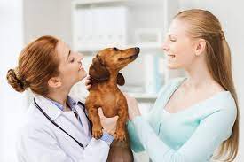 We did not find results for: 5 Myths About Holistic Pet Care Animal Wellness Magazine