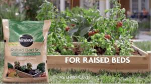How To Use Miracle Gro Raised Bed Garden Soil Youtube